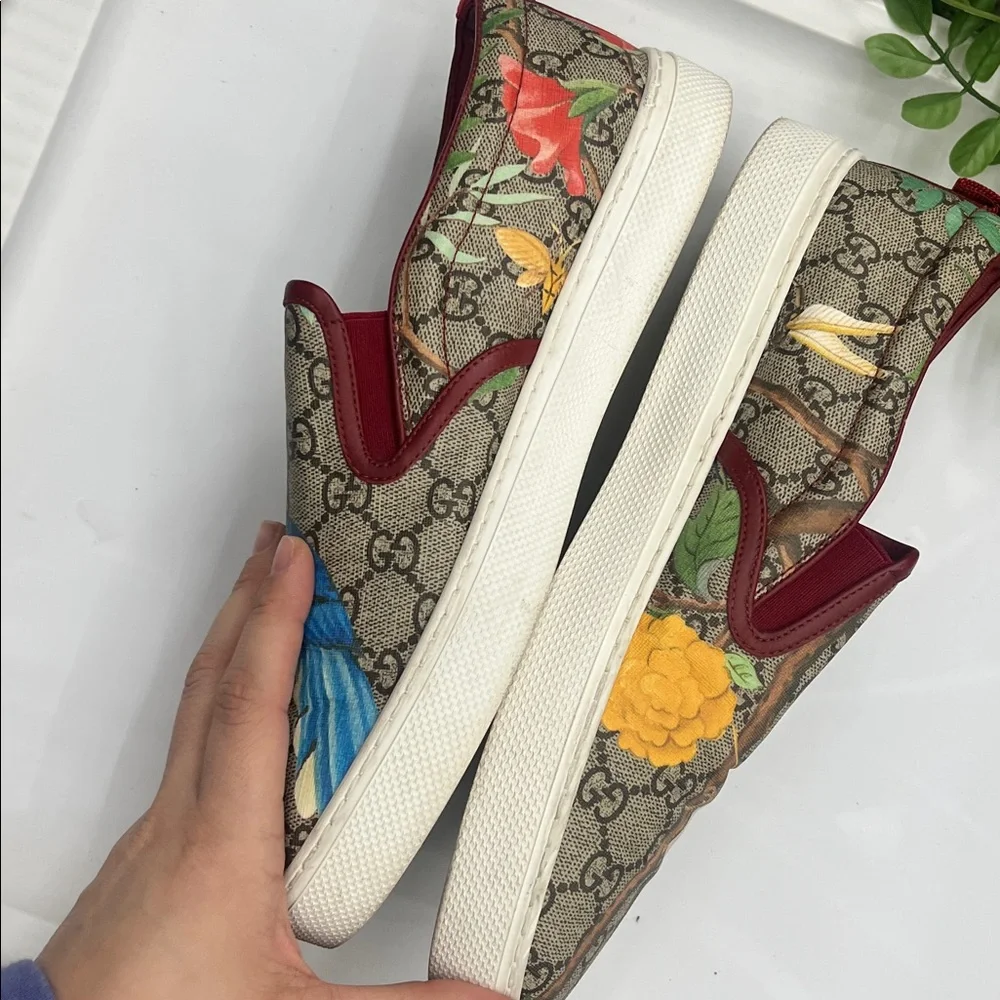 Gucci great used